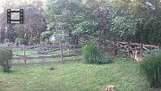 DSCF0053