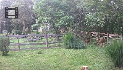 DSCF0063