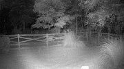 DSCF0064