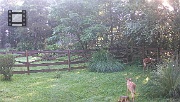 DSCF0085