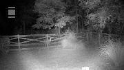 DSCF0091