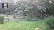 DSCF0097