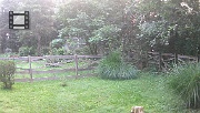 DSCF0101