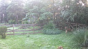 DSCF0108