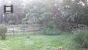 DSCF0119