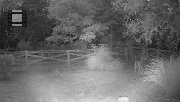 DSCF0139