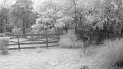 DSCF0141