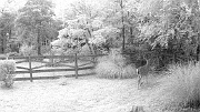 DSCF0142