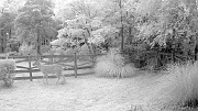 DSCF0152