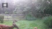 DSCF0161