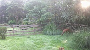 DSCF0186