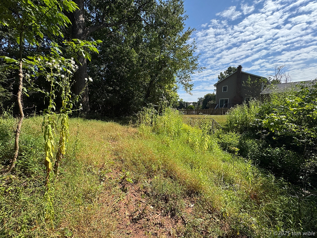 IMG_3782