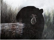 Black Bear by Barbara E. Jennings