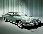 1973 Buick Centurion Hardtop - Willow Green by Danny Whitfield