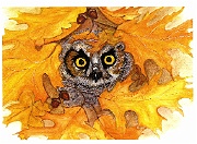 Autumn Owl Wisdom by Barbara E. Jennings