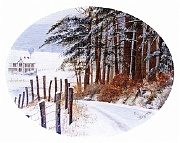 Winter Lane by Barbara E. Jennings