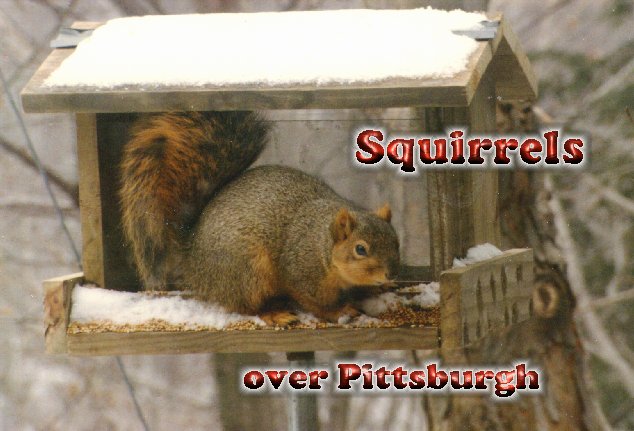 Squirrels over Pittsburgh
