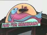 mad fish sign